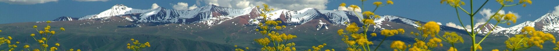 Суусамыр айыл өкмөтү Суусамыр айыл өкмөтү